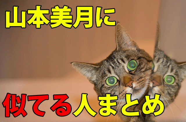 山本美月に似てる人まとめ 堀田茜 八乙女光 水川あさみまで ドラマの感想ブログ