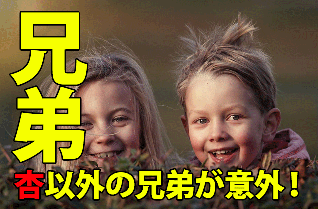 渡辺大に杏と２人の兄弟がいた 有名なアノ人が兄弟 ドラマの感想ブログ