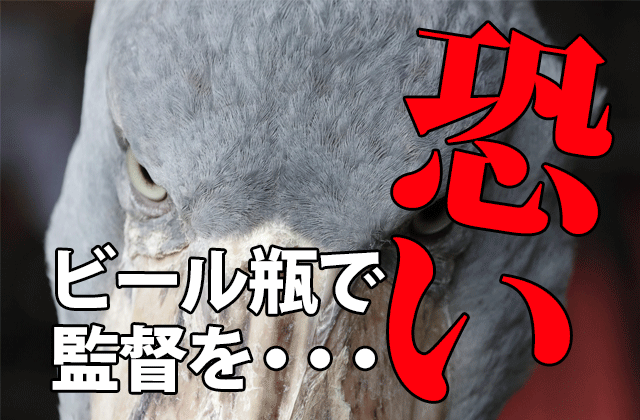 就活家族 塾長キャストはガチで 恐い 人だった ドラマの感想ブログ