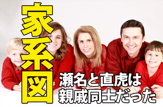 おんな城主 直虎 瀬名姫 おとわは親戚同士 家系図あり ドラマの感想ブログ