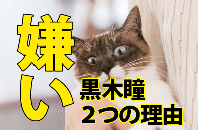 就活家族で黒木瞳が 嫌い と言われる２つの理由 ドラマの感想ブログ