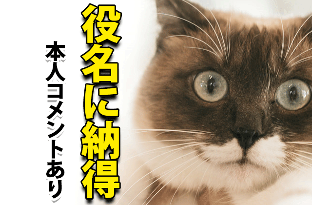 コードブルー有岡大貴 役名と役柄に込められた意味 ドラマの感想ブログ